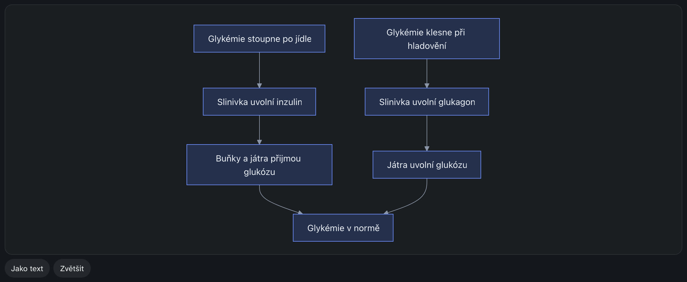 Schéma regulace glykémie inzulinem a glukagonem
