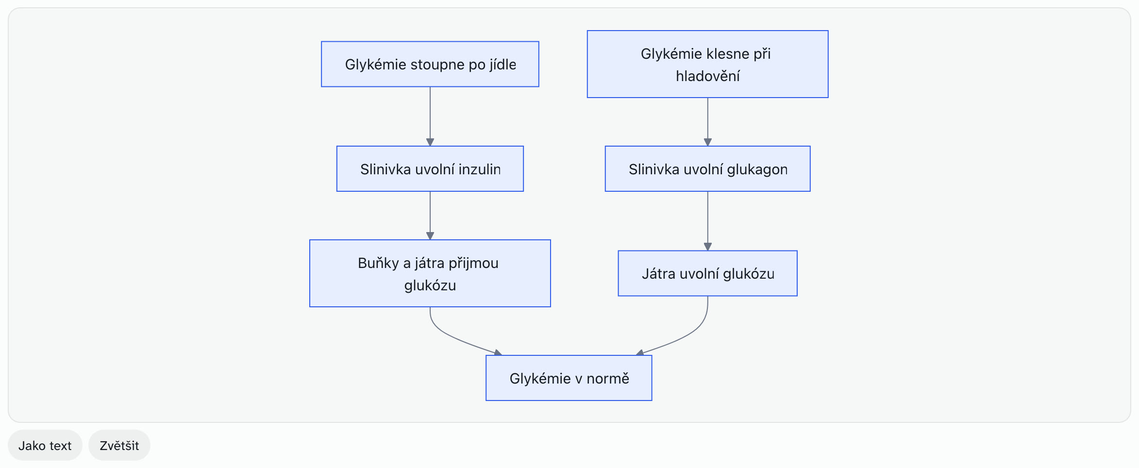 Schéma regulace glykémie inzulinem a glukagonem